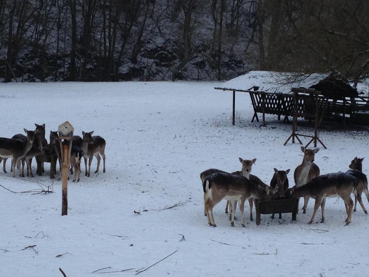 Hotel Forsthaus Volkesfeld Bagian luar foto