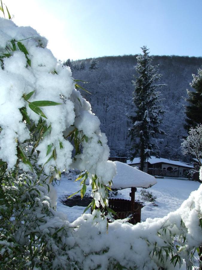 Hotel Forsthaus Volkesfeld Bagian luar foto